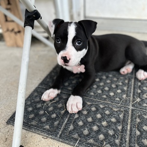 Fundraising Page: Hayley Finley